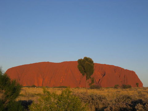 3-Day Uluru And Kings Canyon Camping Experience From Alice Springs Including Outback BBQ Dinner - Tourism Cairns 4