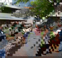 Alice Springs Walking Tours - Tourism Cairns