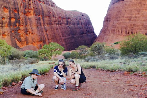 Afternoon Kata Tjuta Small Group Tour - Tourism Cairns 7