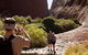 Afternoon Kata Tjuta Small Group Tour - thumb 6