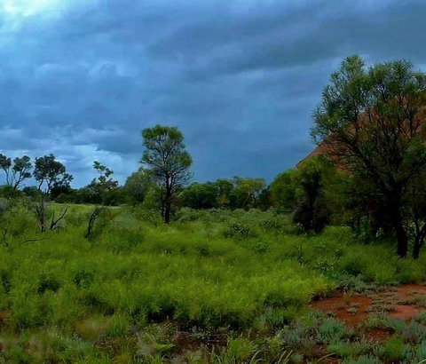 3-Day Ayers Rock To Alice Springs Camping Tour Including Kings Canyon, Kata Tjuta And Uluru - Tourism Cairns 11
