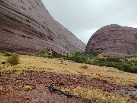 3-Day Ayers Rock To Alice Springs Camping Tour Including Kings Canyon, Kata Tjuta And Uluru - Tourism Cairns 4