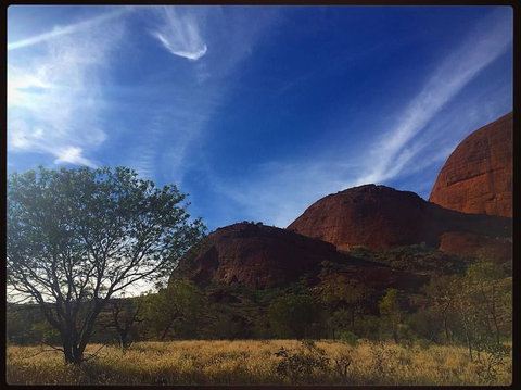 3-Day Ayers Rock To Alice Springs Camping Tour Including Kings Canyon, Kata Tjuta And Uluru - Tourism Cairns 14