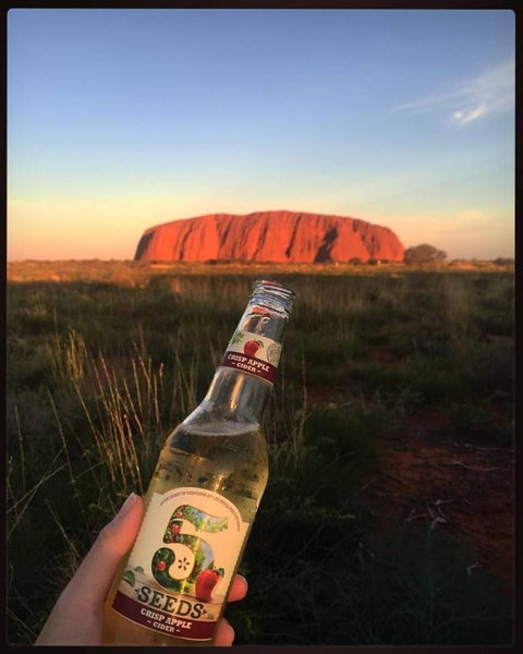 3-Day Ayers Rock To Alice Springs Camping Tour Including Kings Canyon, Kata Tjuta And Uluru - Tourism Cairns 15