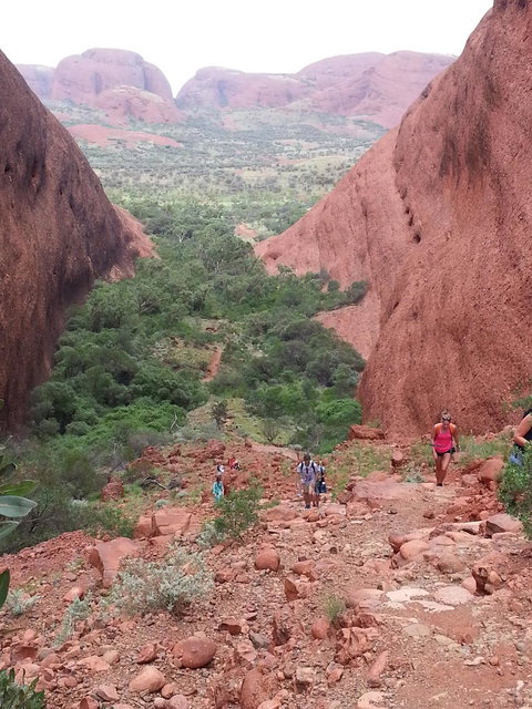 3-Day Ayers Rock To Alice Springs Camping Tour Including Kings Canyon, Kata Tjuta And Uluru - Tourism Cairns 7