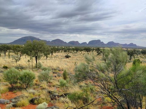 3-Day Ayers Rock To Alice Springs Camping Tour Including Kings Canyon, Kata Tjuta And Uluru - Tourism Cairns 5