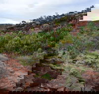 Palm Valley and Hermannsburg 1 Day 4WD Tour - Tourism Cairns