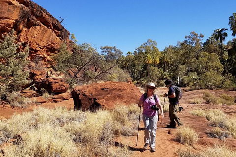Palm Valley And Hermannsburg 1 Day 4WD Tour - Tourism Cairns 5