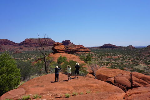 Palm Valley And Hermannsburg 1 Day 4WD Tour - Tourism Cairns 2