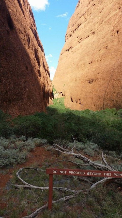 Kata Tjuta Sunrise And Valley Of The Winds Half-Day Trip - Tourism Cairns 4
