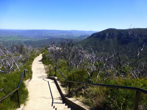 All Inclusive Blue Mountains Small-Group Day Trip From Sydney - Tourism Cairns 9