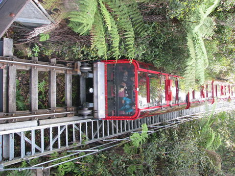 All Inclusive Blue Mountains Small-Group Day Trip From Sydney - Tourism Cairns 16