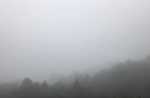 All Inclusive Blue Mountains Small-Group Day Trip From Sydney - Tourism Cairns 20