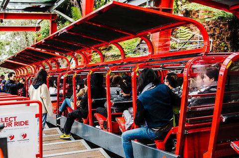 All-Inclusive Blue Mountains Day Trip With River Cruise - Tourism Cairns 7