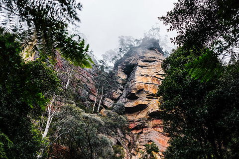 All-Inclusive Blue Mountains Day Trip With River Cruise - Tourism Cairns 3
