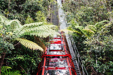 All-Inclusive Blue Mountains Day Trip With River Cruise - Tourism Cairns 6