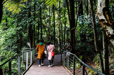 All-Inclusive Blue Mountains Day Trip With River Cruise - Tourism Cairns 10