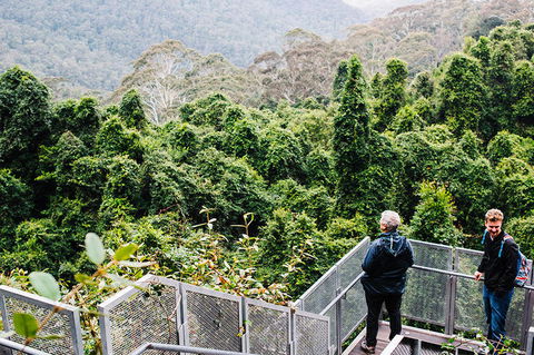 All-Inclusive Blue Mountains Day Trip With River Cruise - Tourism Cairns 2