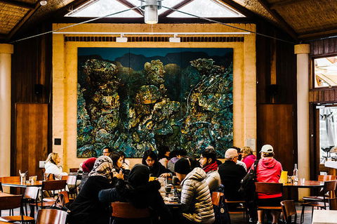 All-Inclusive Blue Mountains Day Trip With River Cruise - Tourism Cairns 13