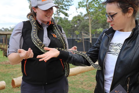 All-Inclusive Blue Mountains Day Trip With River Cruise - Tourism Cairns 37