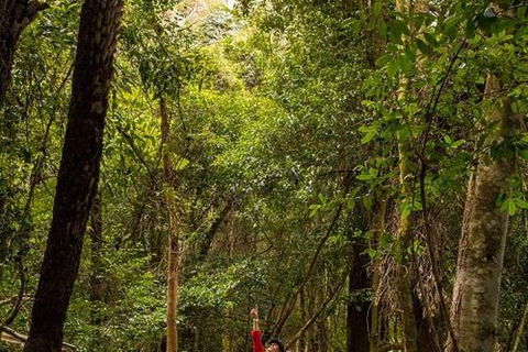 All-Inclusive Blue Mountains Day Trip With River Cruise - Tourism Cairns 26