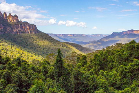 All-Inclusive Blue Mountains Day Trip With River Cruise - Tourism Cairns 28