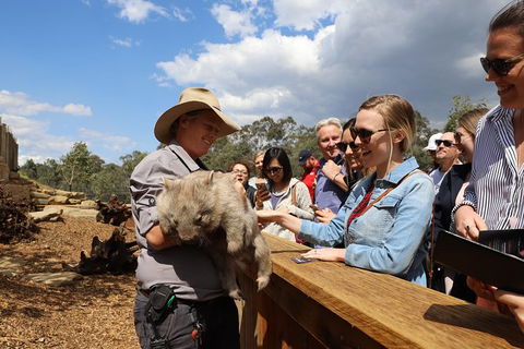 All-Inclusive Blue Mountains Day Trip With River Cruise - Tourism Cairns 27