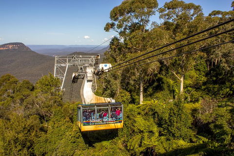 All-Inclusive Blue Mountains Day Trip With River Cruise - Tourism Cairns 39