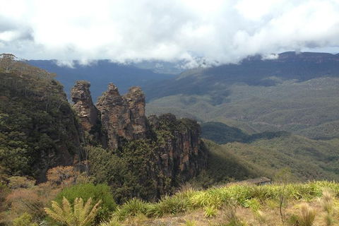 All-Inclusive Blue Mountains Tour In A Luxury Mercedes Sprinter - Tourism Cairns 11