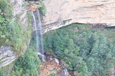 All-Inclusive Blue Mountains Tour In A Luxury Mercedes Sprinter - Tourism Cairns 17