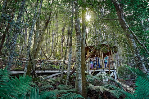 All-Inclusive Blue Mountains Tour In A Luxury Mercedes Sprinter - Tourism Cairns 19