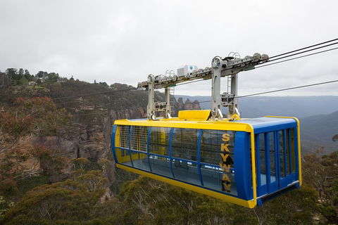 All-Inclusive Blue Mountains Tour In A Luxury Mercedes Sprinter - Tourism Cairns 10