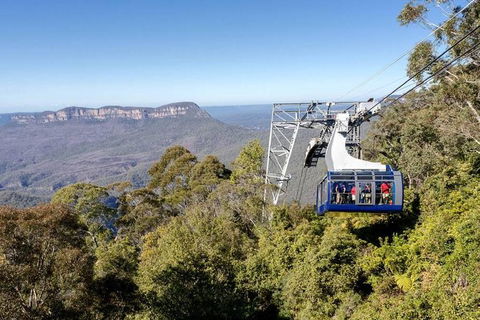All-Inclusive Blue Mountains Tour In A Luxury Mercedes Sprinter - Tourism Cairns 6