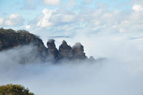 All-Inclusive Blue Mountains Tour In A Luxury Mercedes Sprinter - Tourism Cairns 15