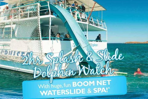 Port Stephens Dolphin Watching Cruise Including Splash And Slide - Tourism Cairns 0