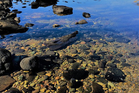 The Eurobodalla Experience (Full Day Private Tour Including Lunch) - Tourism Cairns 14