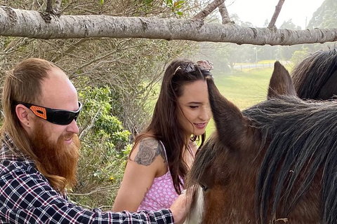 The Eurobodalla Experience (Full Day Private Tour Including Lunch) - Tourism Cairns 23