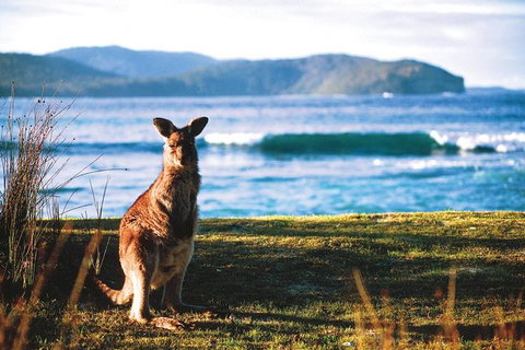 The Eurobodalla Experience (Full Day Private Tour Including Lunch) - Tourism Cairns 7