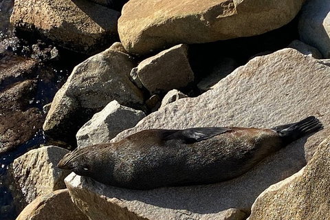 The Eurobodalla Experience (Full Day Private Tour Including Lunch) - Tourism Cairns 8