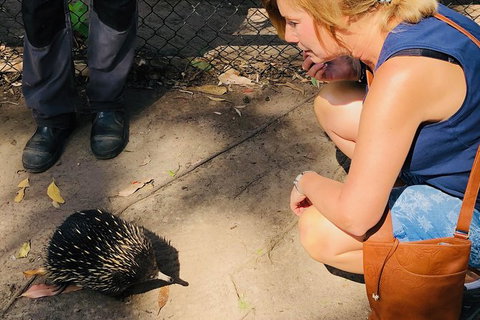 The Eurobodalla Experience (Full Day Private Tour Including Lunch) - Tourism Cairns 18