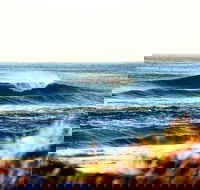 7-Day Byron Bay Evans Head and Moonee Beach Surf Safari from Brisbane Gold Coast or Byron Bay - Tourism Cairns