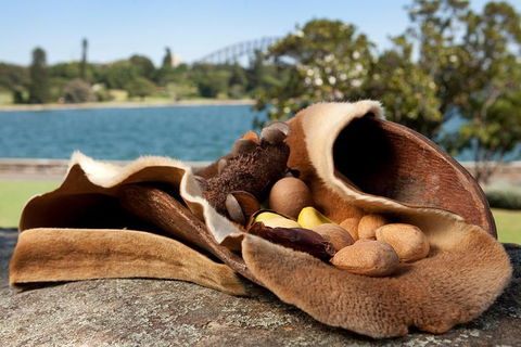 Aboriginal Heritage Tour At The Royal Botanic Garden Sydney - Tourism Cairns 7