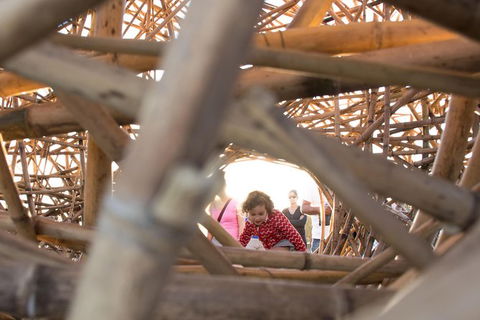 A Full Day In Sydney With A Local: Private & Personalized - Tourism Cairns 5