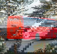 SkyBus Byron Bay Express - Tourism Cairns