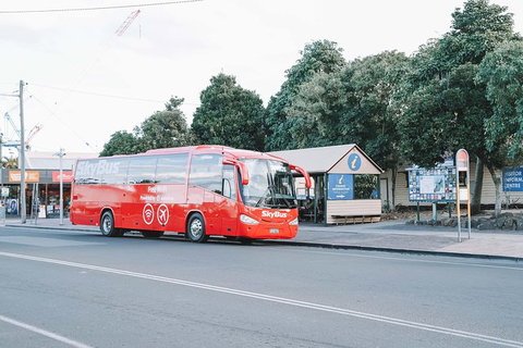 SkyBus Byron Bay Express - Tourism Cairns 1