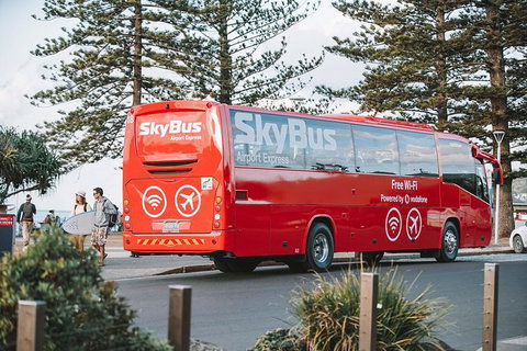 SkyBus Byron Bay Express - Tourism Cairns 2