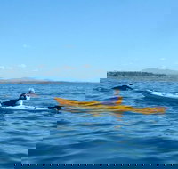 Whale Watching by Sea Kayak in Batemans Bay - Tourism Cairns