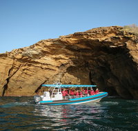 Hunter Coastal Adventure Tour by Boat from Newcastle