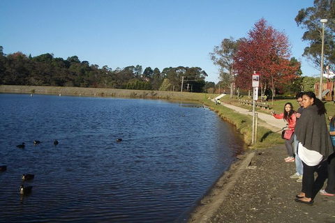 All-Day Blue Mountains Private Tour With Professional Guide For Up To 4 People - Tourism Cairns 24