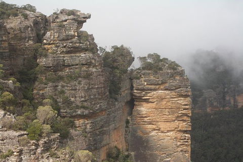 All-Day Blue Mountains Private Tour With Professional Guide For Up To 4 People - Tourism Cairns 11